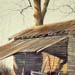 matties_mule_barn