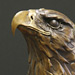 Eagle Study #2